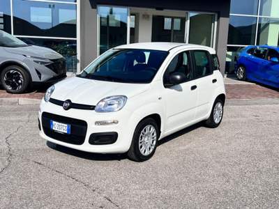 Fiat Panda 1.0 FireFly S&S Hybrid Icon Bianco usata Pieve di Soligo