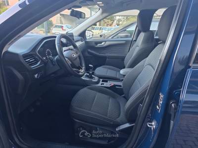Ford Kuga EcoBlue 120 CV 2WD Connect usata SINISCOLA