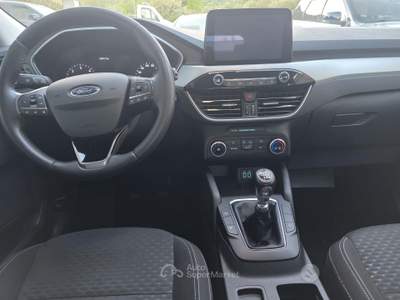 Ford Kuga EcoBlue 120 CV 2WD Connect usata SINISCOLA