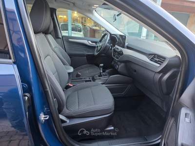 Ford Kuga EcoBlue 120 CV 2WD Connect usata SINISCOLA