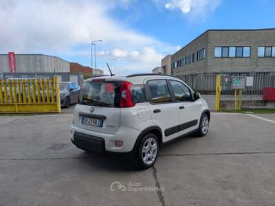 Fiat Panda 1.0 FireFly S&S Hybrid City Life OK NEOPATENTATI Bianco usata Cremosano
