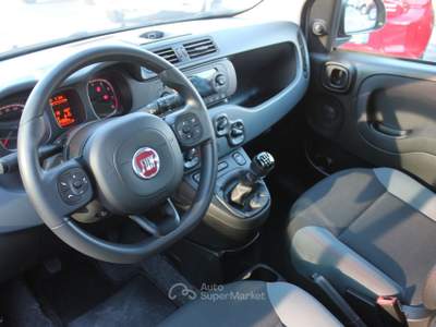 Fiat Panda Panda 1.2 Easy Grigio usata Cuneo