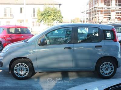 Fiat Panda Panda 1.2 Easy Grigio usata Cuneo