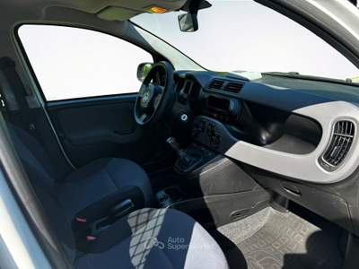 Fiat Panda 4X4  POP Bianco usata Venezia