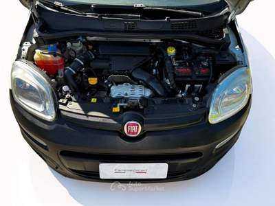 Fiat Panda 4X4  POP Bianco usata Venezia