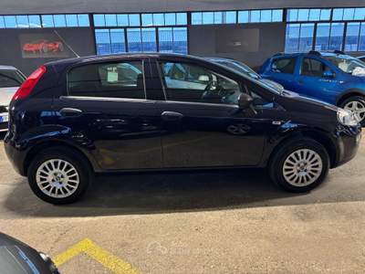 Fiat Punto 57KW 5P Natural Power Street NEO usata Sommacampagna