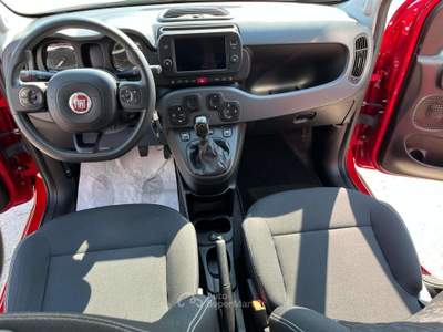 Fiat Panda Panda III 2021 Cross 1.0 firefly hybrid City Cross s Rosso usata Calerno di Sant'Ilario d'Enza