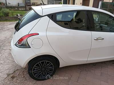 Lancia Ypsilon Lancia Ypsilon 1.2 Gold benzina Bianco usata Pistoia