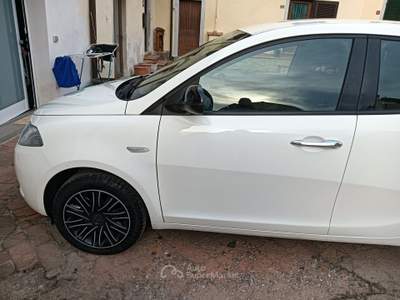 Lancia Ypsilon Lancia Ypsilon 1.2 Gold benzina Bianco usata Pistoia