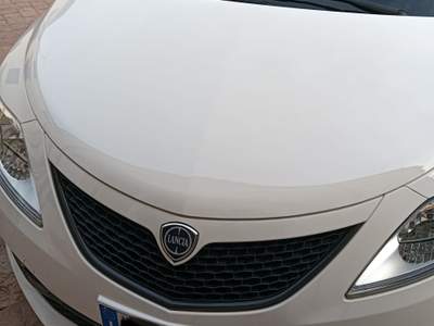 Lancia Ypsilon Lancia Ypsilon 1.2 Gold benzina Bianco usata Pistoia