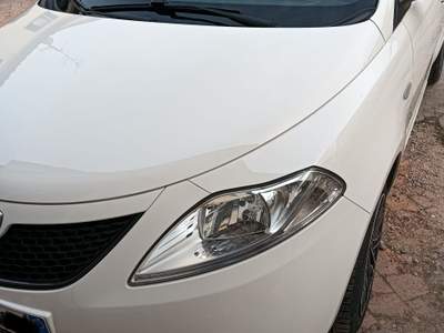 Lancia Ypsilon Lancia Ypsilon 1.2 Gold benzina Bianco usata Pistoia