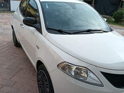 Lancia Ypsilon Lancia Ypsilon 1.2 Gold benzina Bianco usata Pistoia