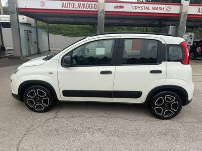 Fiat Panda Fiat Panda 1.0 FireFly S&S Hybrid City Life Bianco usata Deruta