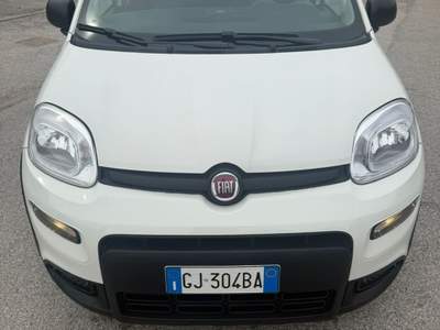 Fiat Panda Fiat Panda 1.0 FireFly S&S Hybrid City Life Bianco usata Deruta