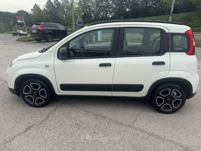 Fiat Panda Fiat Panda 1.0 FireFly S&S Hybrid City Life Bianco usata Deruta