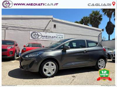 Ford Fiesta Fiesta 1.5 TDCi 75 CV 3p. Titanium Grigio usata Cagliari