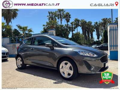 Ford Fiesta Fiesta 1.5 TDCi 75 CV 3p. Titanium Grigio usata Cagliari