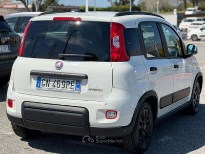 Fiat Panda OK NEOPATENTATI Bianco usata Fiumicino