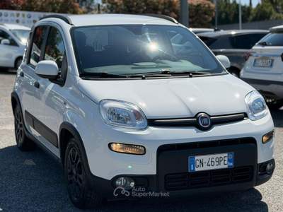 Fiat Panda OK NEOPATENTATI Bianco usata Fiumicino