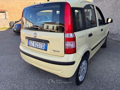 Fiat Panda Vendesi Fiat Panda Giallo usata Fucecchio