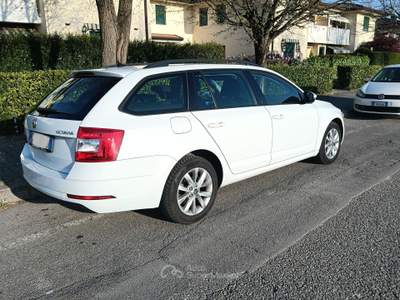 Skoda Octavia Skoda Octavia t.diesel 2020 Bianco usata Dolo