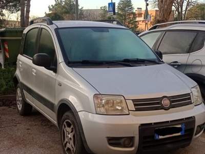 Fiat Panda Auto affidabile Argento usata Ancona