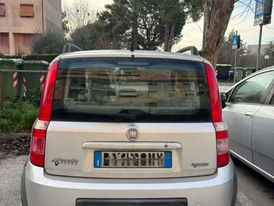 Fiat Panda Auto affidabile Argento usata Ancona