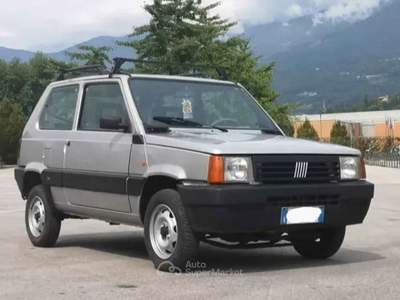 Fiat Panda 1,1 Fire 4x4 trekking Argento usata Ferrara