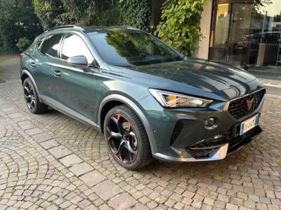 Cupra Formentor 2.0 TSI 4Drive DSG Grigio usata ROSà