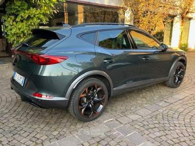 Cupra Formentor 2.0 TSI 4Drive DSG Grigio usata ROSà