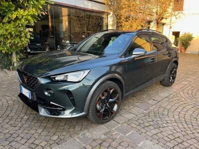 Cupra Formentor 2.0 TSI 4Drive DSG Grigio usata ROSà