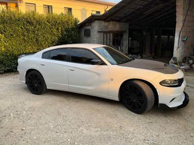 Dodge Charger 3,6 l Bianco usata Castelcucco