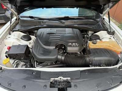 Dodge Charger 3,6 l Bianco usata Castelcucco
