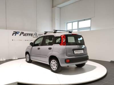 Fiat Panda  - panda 1.0 firefly s&s hybrid Grigio usata Civitanova Marche