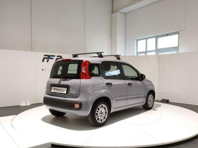 Fiat Panda  - panda 1.0 firefly s&s hybrid Grigio usata Civitanova Marche