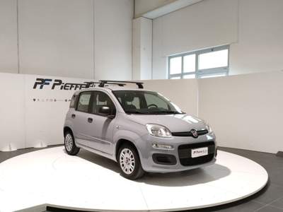 Fiat Panda  - panda 1.0 firefly s&s hybrid Grigio usata Civitanova Marche
