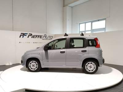 Fiat Panda  - panda 1.0 firefly s&s hybrid Grigio usata Civitanova Marche