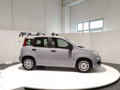 Fiat Panda  - panda 1.0 firefly s&s hybrid Grigio usata Civitanova Marche