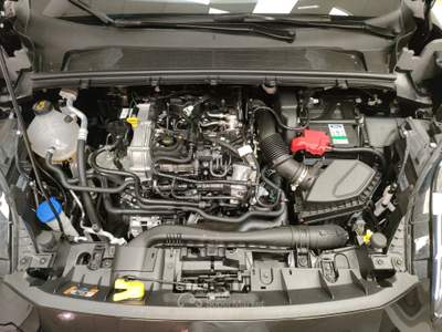 Ford Puma  - puma 1.0 ecoboost hybrid 125 cv s&s st-line x Nero usata Civitanova Marche