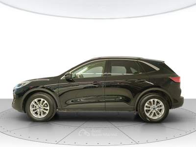 Ford Kuga  - kuga 2.0 ecoblue 120 cv aut. 2wd titanium bu Grigio usata Civitanova Marche