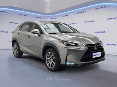 Lexus NX Nx Hybrid 4wd Executive Argento usata Cassola
