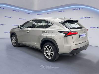 Lexus NX Nx Hybrid 4wd Executive Argento usata Cassola