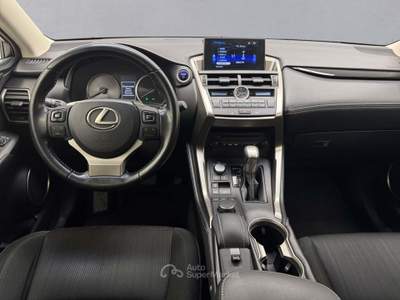 Lexus NX Nx Hybrid 4wd Executive Argento usata Cassola