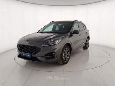 Ford Kuga 2.5 Benzina FHEV 190CV 2WD ST-Line X Aut Grigio usata Massa