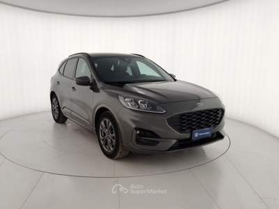 Ford Kuga 2.5 Benzina FHEV 190CV 2WD ST-Line X Aut Grigio usata Massa