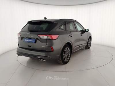 Ford Kuga 2.5 Benzina FHEV 190CV 2WD ST-Line X Aut Grigio usata Massa