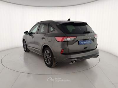 Ford Kuga 2.5 Benzina FHEV 190CV 2WD ST-Line X Aut Grigio usata Massa