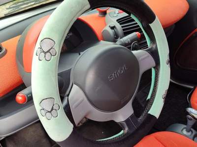 Smart ForTwo 700 coupé pure Grigio usata Pieve a Nievole