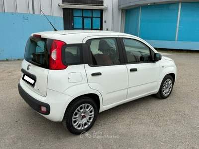 Fiat Panda Easy Bianco usata SAN MINIATO