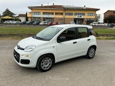 Fiat Panda Easy Bianco usata SAN MINIATO